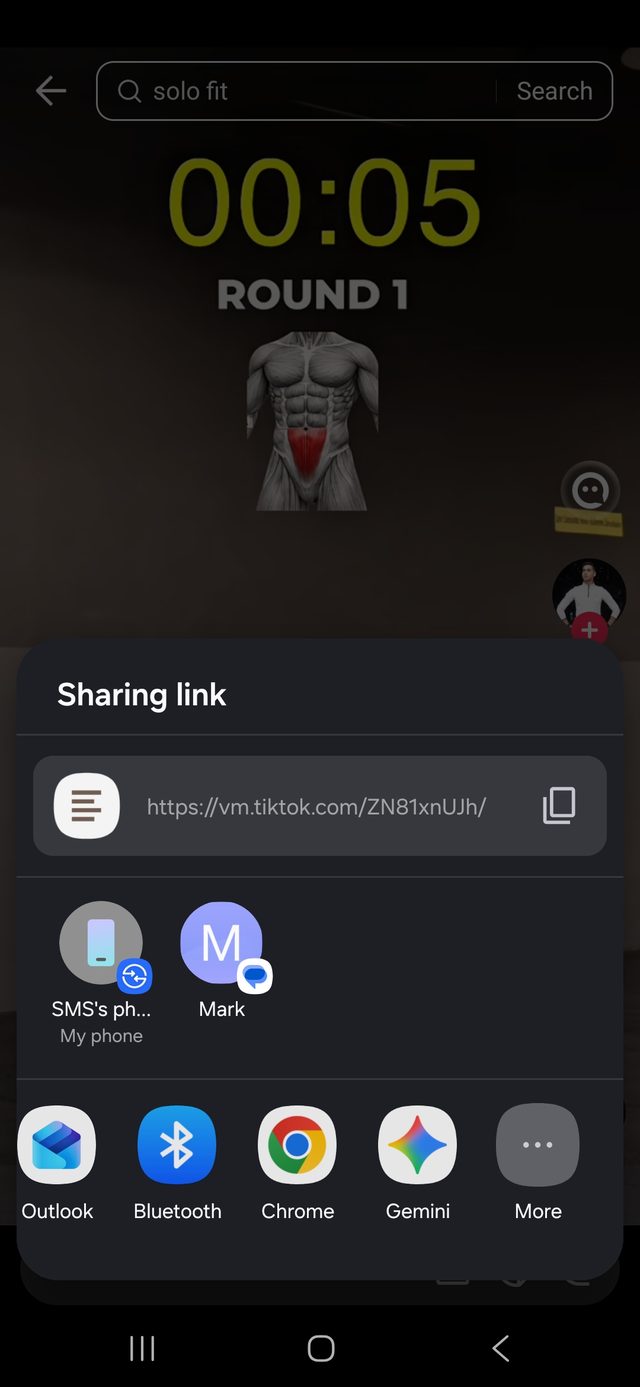 The phone's Sharing link sheet, with More again