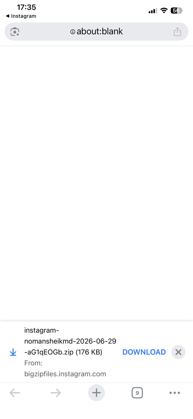 Browser saving the Instagram export .zip file